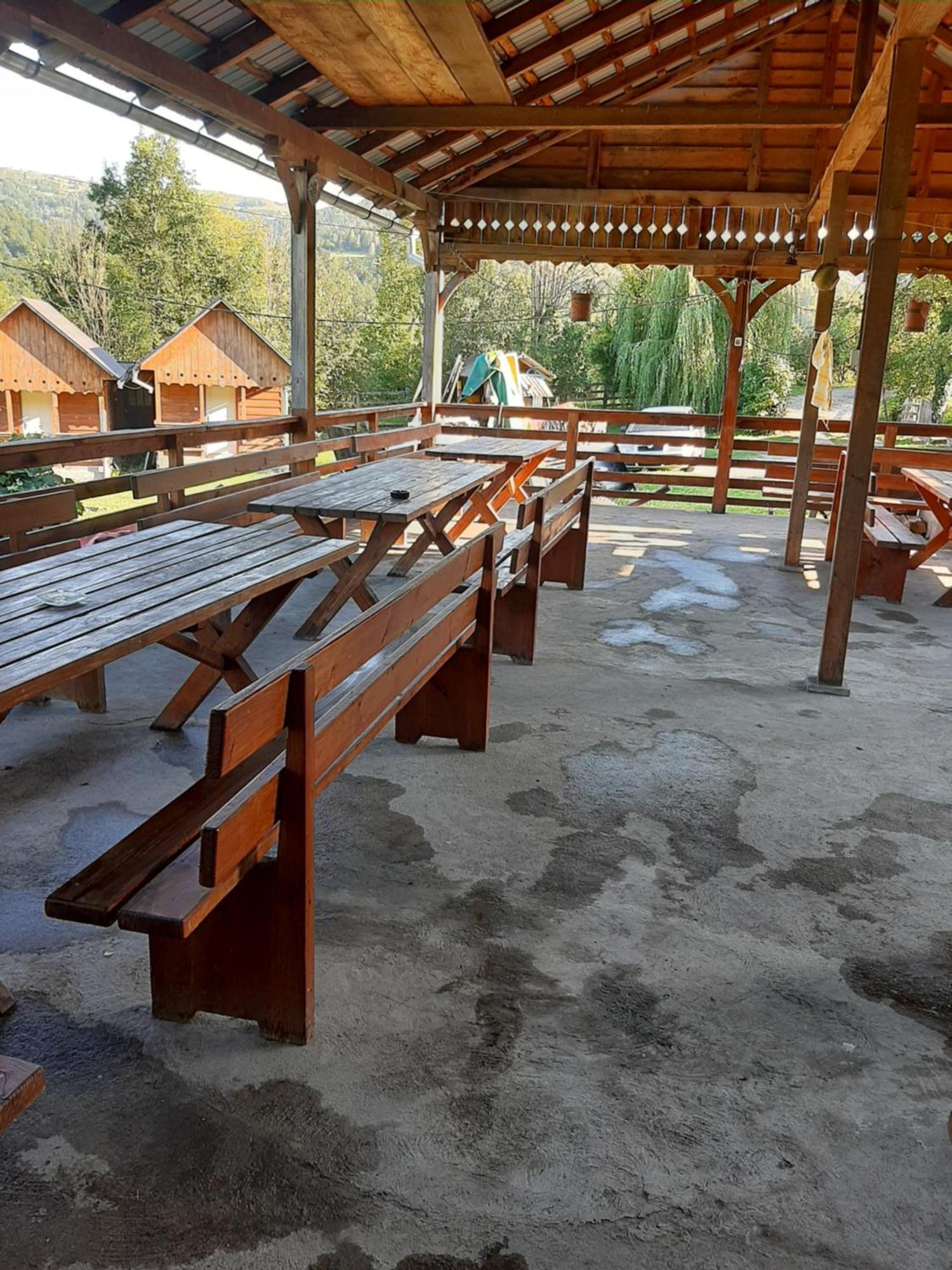Sălciua de Jos Pensiunea Codru מראה חיצוני תמונה